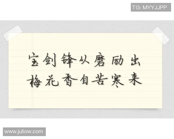 梅花香自苦寒来足球明星梅姓传奇与成就探讨 梅花香自苦寒来足球明星梅姓传奇与成就探讨