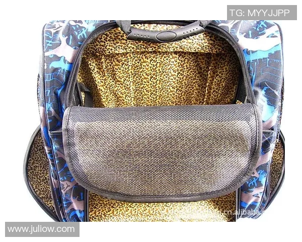 足球明星美琪高清图片展示她的风采与魅力,尽显运动之美与青春活力 足球明星美琪高清图片展示她的风采与魅力,尽显运动之美与青春活力