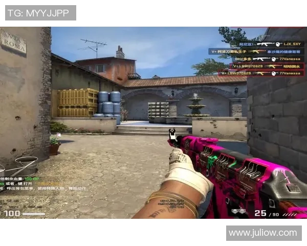 CS_GO纪实：记录V5的转型之路