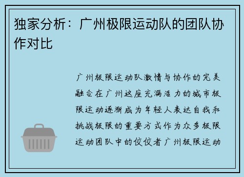 独家分析：广州极限运动队的团队协作对比