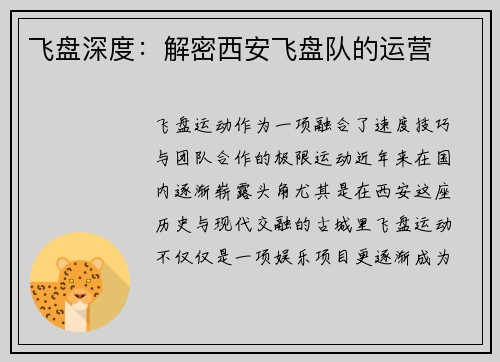 飞盘深度：解密西安飞盘队的运营