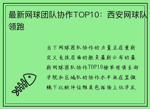 最新网球团队协作TOP10：西安网球队领跑