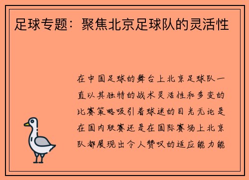 足球专题：聚焦北京足球队的灵活性