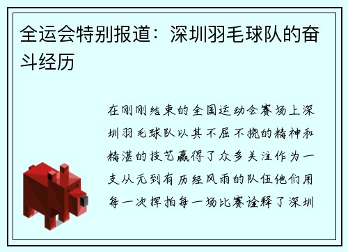 全运会特别报道：深圳羽毛球队的奋斗经历